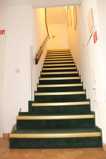 Möwennest - Zempin - 2