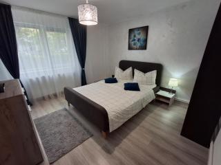 Criss Apartament Central - Deva - 0