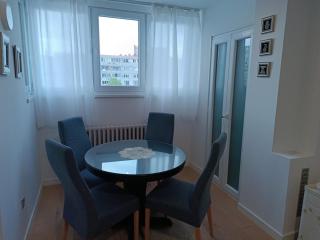 Aleja lipa Apartman - Sarajevo - 5