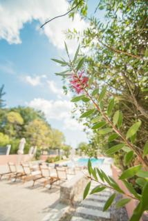 Rustic Charm Apartment in Ipsos - Ipsos - 5