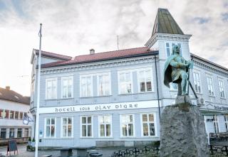 Hotel 1016 Olav Digre - Sarpsborg - 9