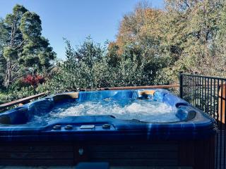 Secluded Villa with Lush Gardens, Spa and Fireplace - Mont Dandenong - 8