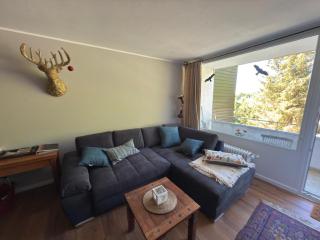 Goldener Hirsch Braunlage - 8