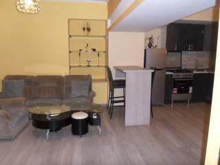 Cozy Opera Loft - Tbilisi - 9