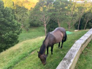 Abbey Caves Countryscape - 3