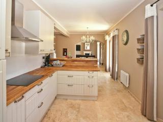 Luxury villa in Provence with a private pool - Martres-Tolosane - 6