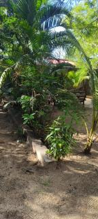 Elara Guest House - Alleppey - 4