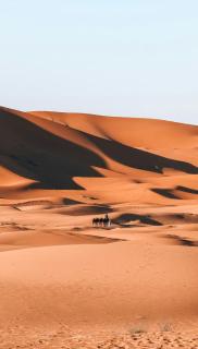 Erg Elysia Camp - Merzouga - 7