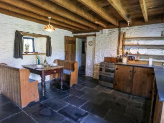 Thatched Cottage - Llanybydder - 1