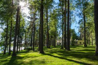 Art Hostel Honkahovi - Mänttä - 4