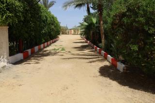 شالية الندي - Alexandrië - 9