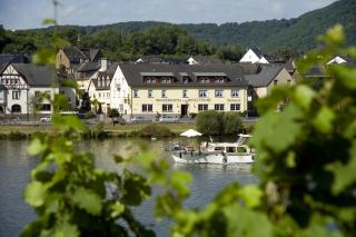 Hotel zum Moselstrand - Briedern - 0