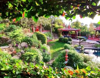 Maravilloso Jardin Oriental - Calalberche - 7