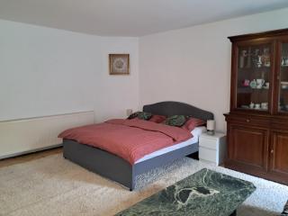 Apartment Julia - Weißkirchen in Steiermark - 8