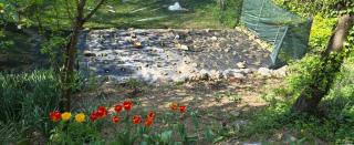 Vila Jenny - Hreljin - 5