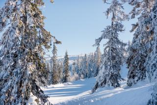 Stöten Mitt Lägenheter - Sälen - 6