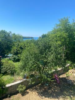 Casa Fiorita B&B Muggia - Muggia - 1