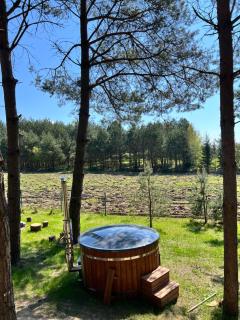 Dom Kozia Górka - dom w sercu Puszczy Knyszyńskiej z gorąca banią z jacuzzi - 4