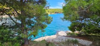 Villa with garden and private pool - Villa Alexandria - 4