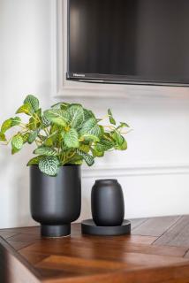 Modern Studio at Venice House - 9