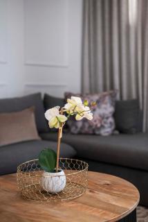 Modern Studio at Venice House - 5