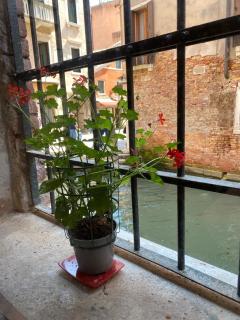 CANAL VIEW - Venecia - 8
