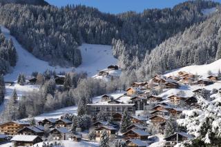 Hotel Alpen Roc - La Clusaz - 4