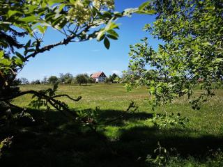 Ferienhaus Nordschwarzwald - 1