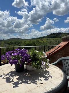 Agriturismo Manetti - Montespertoli - 5