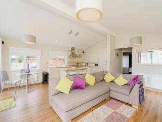 Highland Spa Lodge 1 Pets Welcome - Birnam - 8