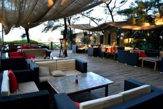 Montego Bay's Beach Village Resort & Hotel - Morjim - 9
