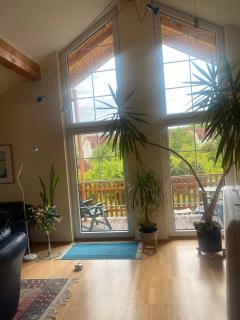 Im schönen Garten - 2