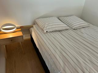 Bright & Luxury apartment at Aalborg harbor front with own entrance - Aalborg - 4