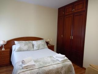 Apartamento El Llerau Cangas de Onis - Cangas de Onís - 1