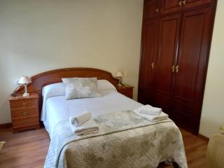 Apartamento El Llerau Cangas de Onis - Cangas de Onís - 2