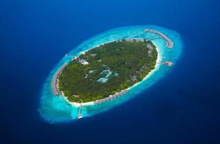 Dusit Thani Maldives - Mudhdhoo Island, Baa Atoll - 9