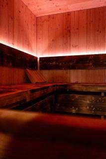 Ferienunterkunft mit Sauna direkt an der Skipiste - 2