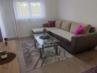 Apartman L&S - Doboj - 1