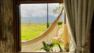 Cabana Flamboyant - 2