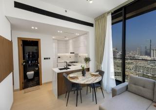 Brand New Luxurious 1 BR with Garden, Gym, Pool and Open View - 2