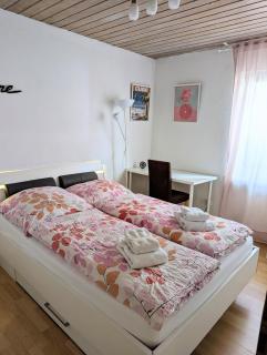 Gemütliche 90 qm Wohnung in Saarburg, zentral gelegen, Garten mit Aussicht, separater Eingang - Saarburg - 2