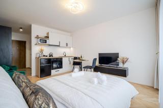 Stylish City Studio Apartment with Balcony - Košice - 9