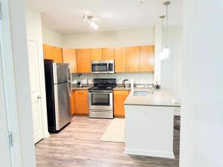 Exquisite immaculate 1 bed apt - Atlanta - 5