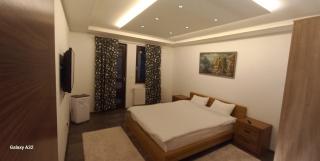 Vila Rakovica Ilidža Sarajevo - Sarajevo - 9