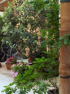 Casa Marsalia - Marsala - 6