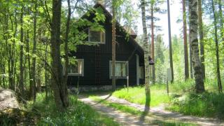 1785c,Hirvensalmi,Puulavesi - 1