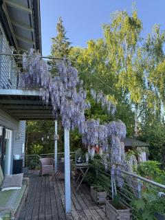 Wohlfühldomizil - Utting am Ammersee - 4