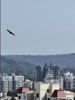 Hillside Lakeview stay near Baner - Pune - 9