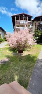 Apartament Smart parking free AC Progres - Toruń - 6