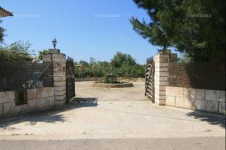 Ca'n Gamundi - Muro - 4